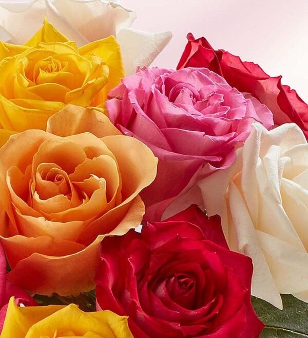 Thank You Assorted Roses - Image 2